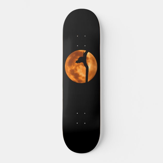 Silhouette of a Black Cat in a Tree Skateboard (Front)