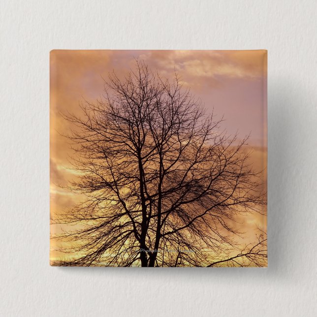 Silhouette of a Tree with Pink and Orange Sky Button (Front)