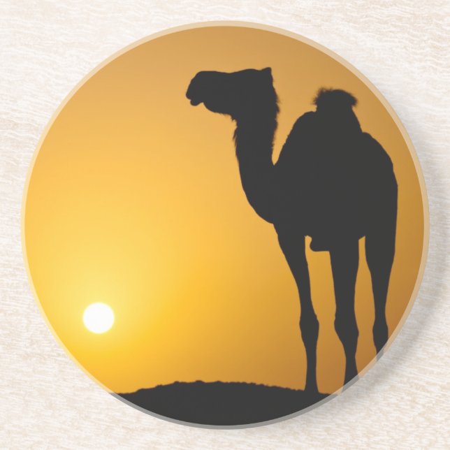 Silhouette of a wild camel at sunset coaster (Front)