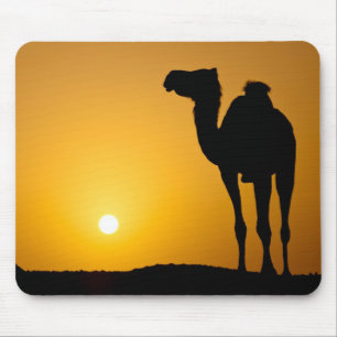 Silhouette of a wild camel at sunset mouse pad