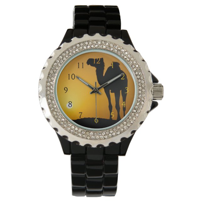 Silhouette of a wild camel at sunset watch (Front)