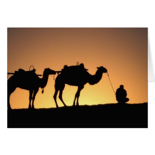 Silhouette of camel caravan on the desert at 2