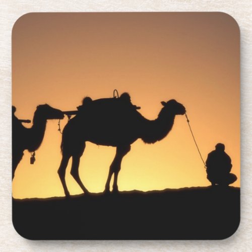 Silhouette of camel caravan on the desert at 2 coaster