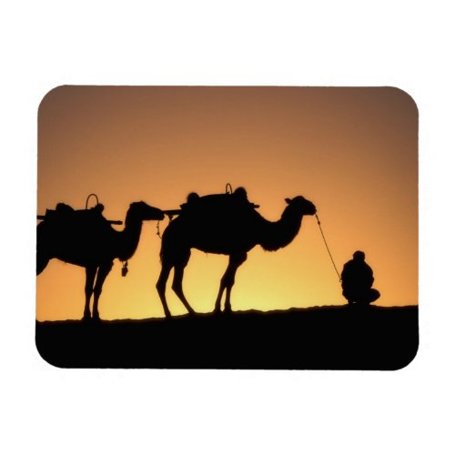 Silhouette of camel caravan on the desert at 2 magnet