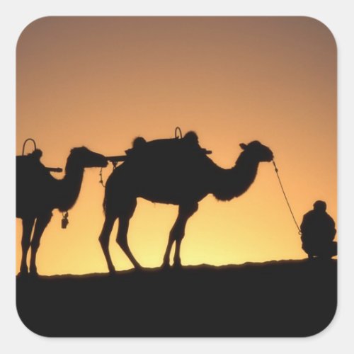 Silhouette of camel caravan on the desert at 2 square sticker