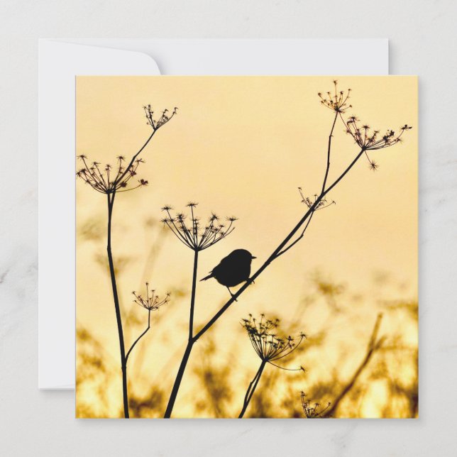 Silhouette of chickadee perched against gold light note card (Front)