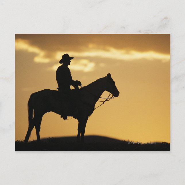 Silhouette of cowboy on horseback at sunset or postcard (Front)