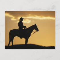 Silhouette of cowboy on horseback at sunset or postcard