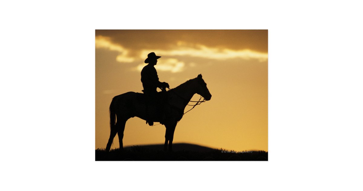 Silhouette of cowboy on horseback at sunset or postcard | Zazzle.com