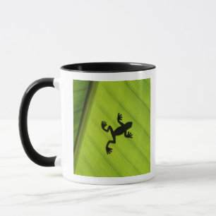 Silhouette of frog through banana leaf mug
