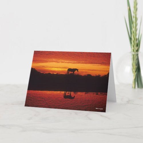 Silhouette of Horse against Sunset Sky Card