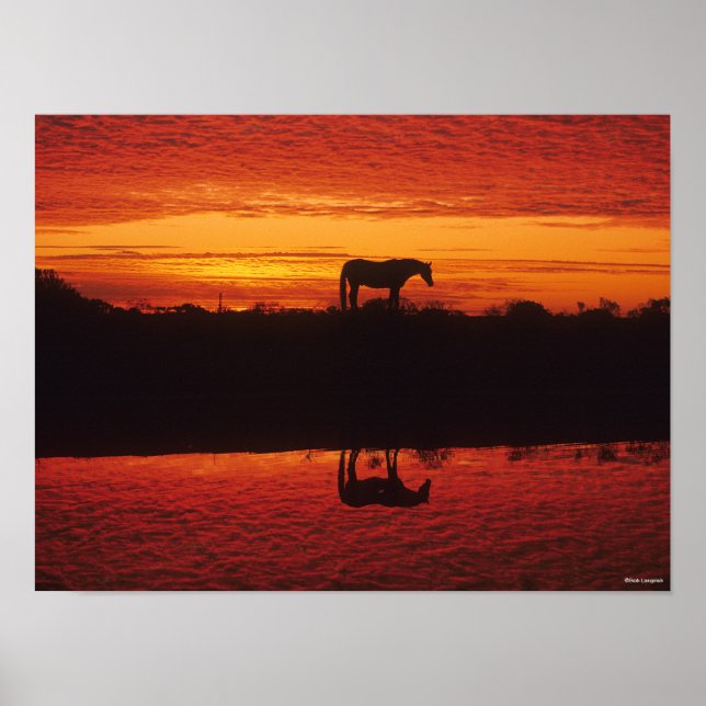 Silhouette of Horse against Sunset Sky Poster (Front)