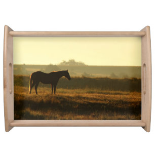 Silhouette of Horse in Morning Sun Photo Serving Tray