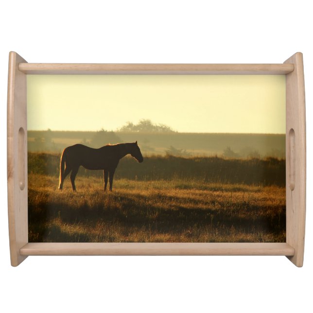 Silhouette of Horse in Morning Sun Photo Serving Tray (Front)