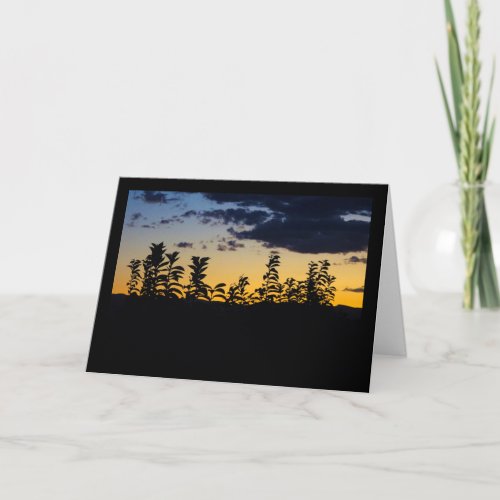 Silhouette of Leaves at Night Card