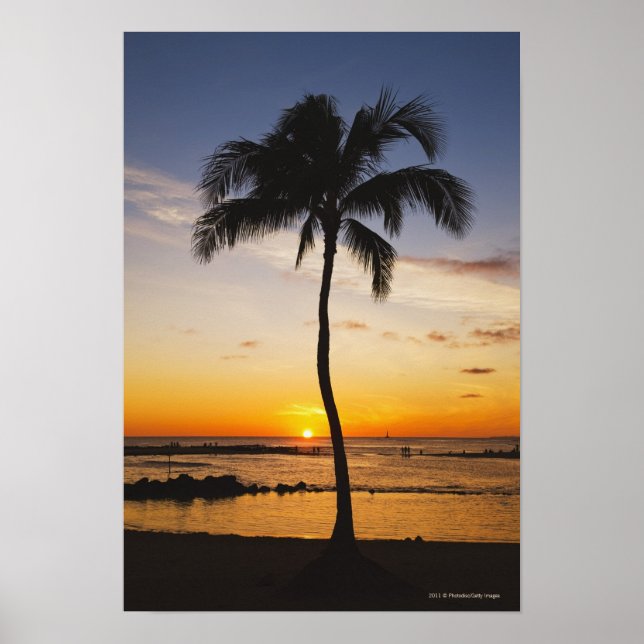 Silhouette of one Palm Tree by a Red Orange Sunset Poster (Front)