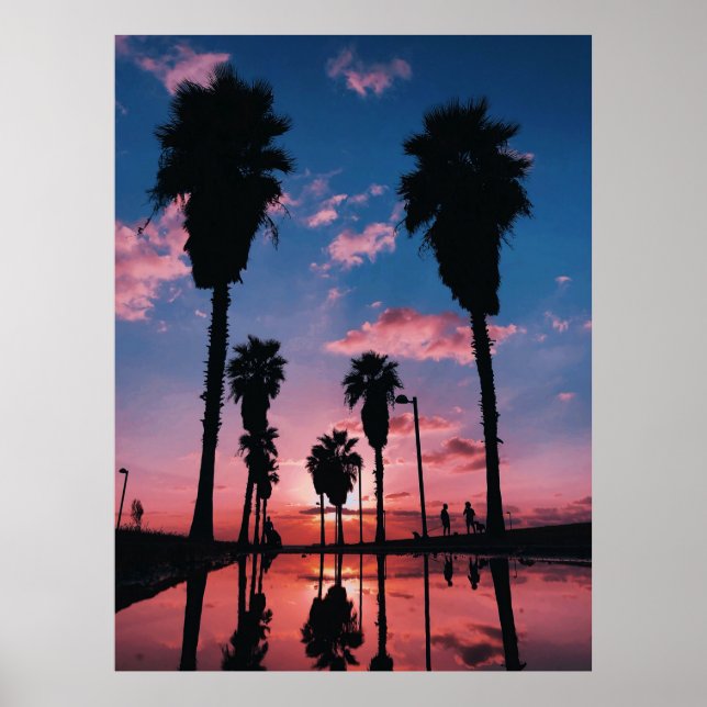 Silhouette of tree under cloudy sky poster (Front)