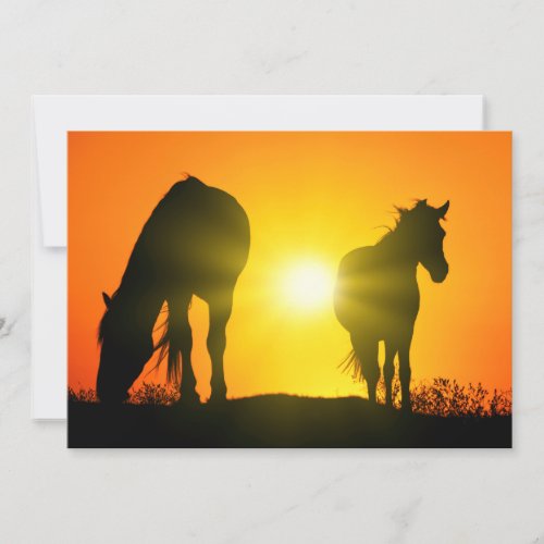 Silhouette of Two Horses at Sunset