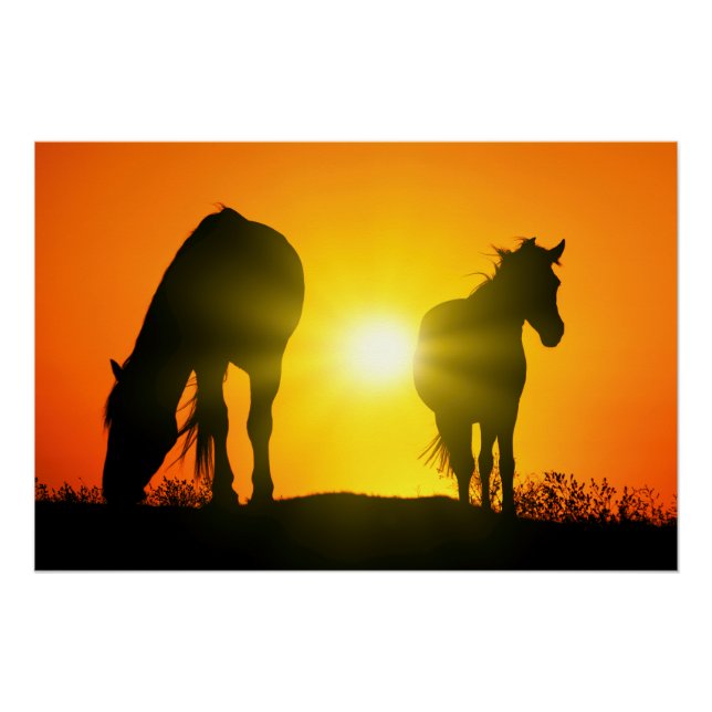 Silhouette of Two Horses at Sunset Poster (Front)
