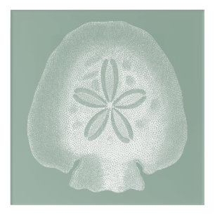 Silhouette Sand Dollar Acrylic Print