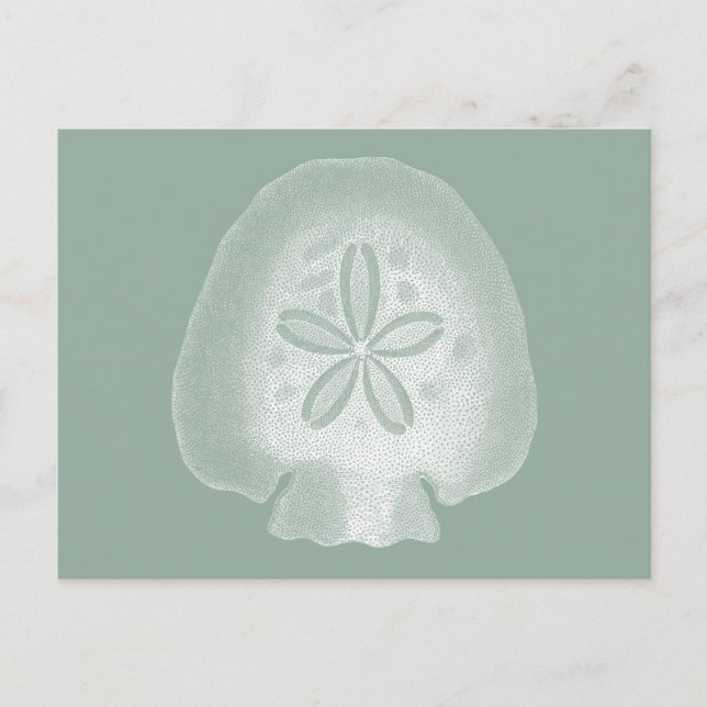 Silhouette Sand Dollar Postcard (Front)