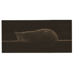 Silhouette Sleeping Cat Photo Wood Flash Drive