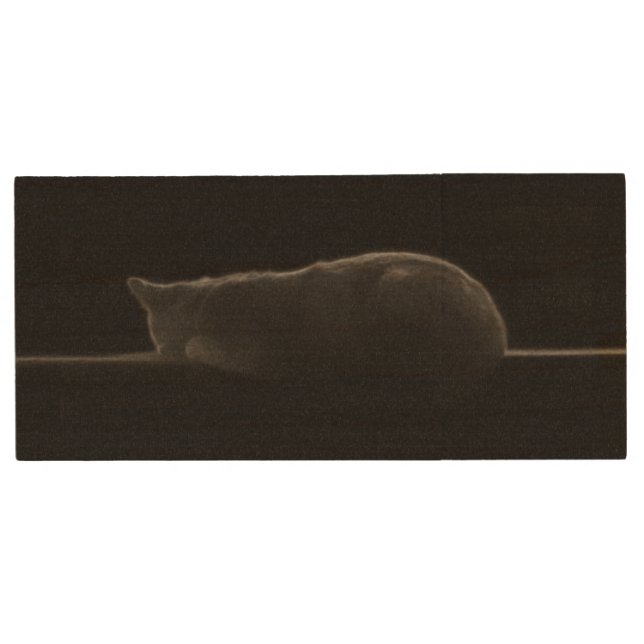Silhouette Sleeping Cat Photo Wood Flash Drive (Front)