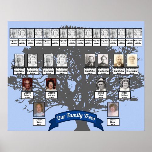 Silhouette Tree Photo Two Family Trees    Poster