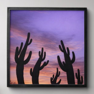 Silhouetted Cacti Moving with Twilight Peel And Stick Photo Tile