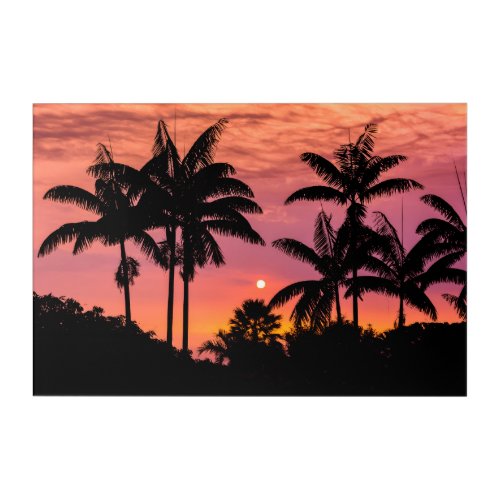 Silhouetted palm trees Hawaii Acrylic Print