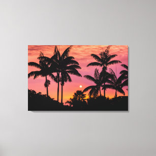 Silhouetted palm trees, Hawaii Canvas Print