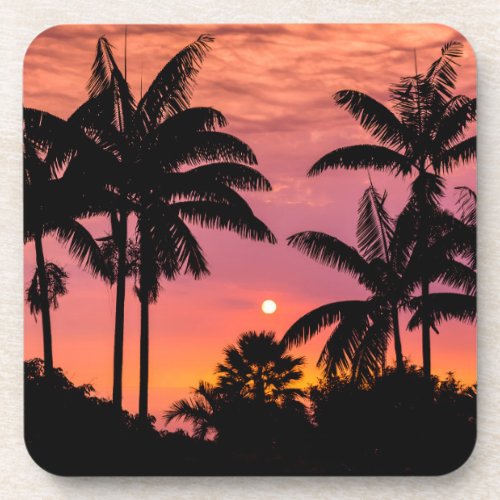 Silhouetted palm trees Hawaii Coaster