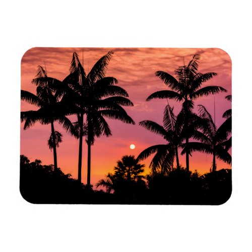 Silhouetted palm trees Hawaii Magnet