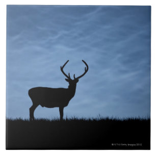 Silhouetted Red Deer Stag at Night Ceramic Tile