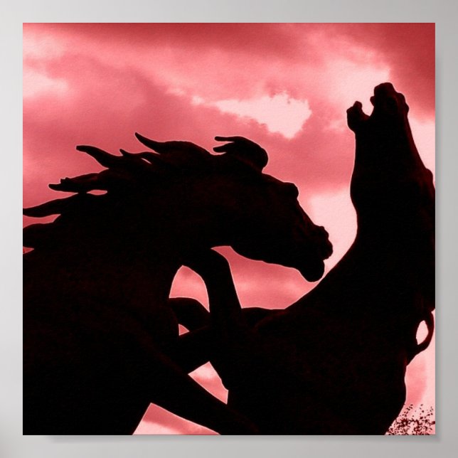 Silhouetted Stallion Design Poster Print (Front)