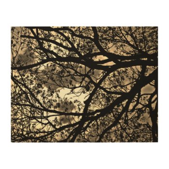 Silhouetted Tree Branches Wood Wall Art by TheHopefulRomantic at Zazzle
