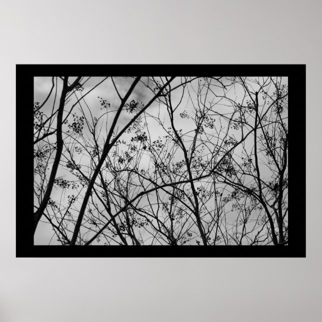 Silhouettes Poster (Front)