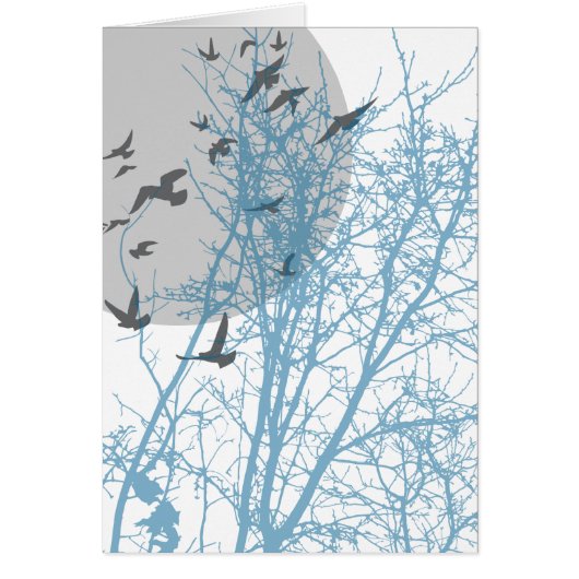 silhouscreen birds (Front)