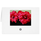 Silk Flowers Cards (Back Horizontal)