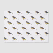 Silk paper with watercolor of cascadeña laundrier