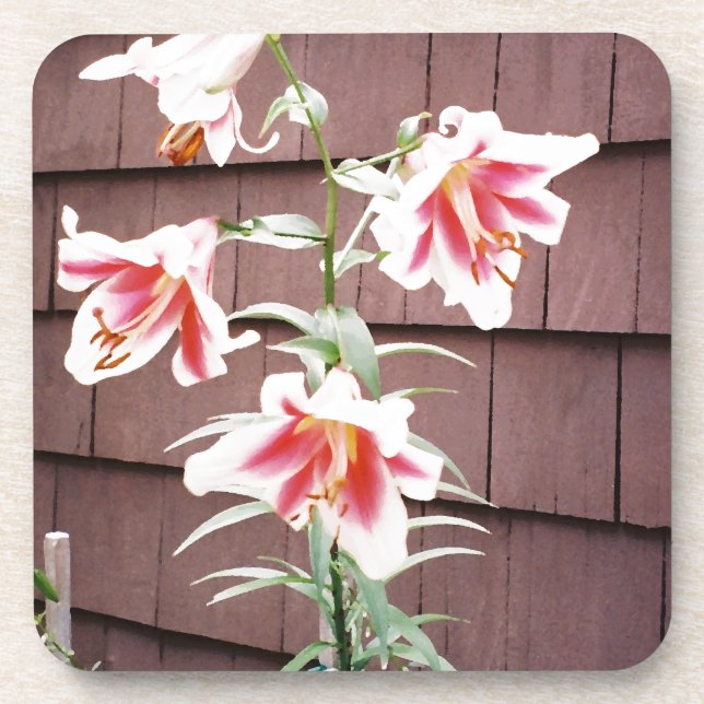 Silk Road Lily Beverage Coaster (Front)