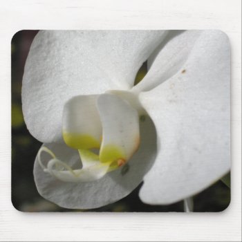 Silk White Orchid Floral Phtography Mousepad by PBsecretgarden at Zazzle