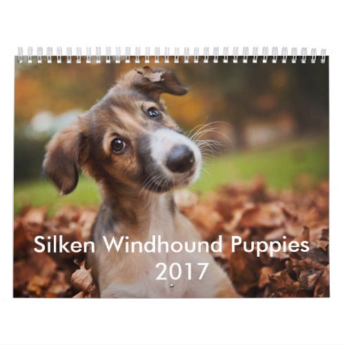 Silken Puppy Calendar 2017