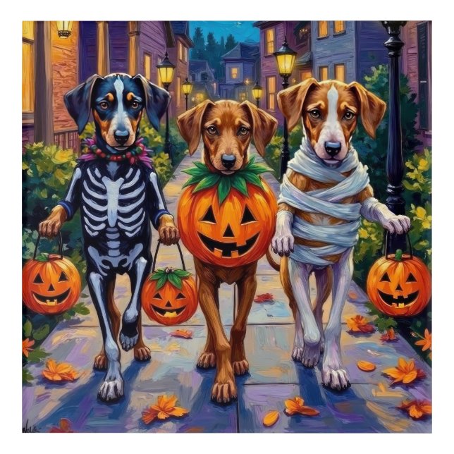 Silken Windhound Dogs in Halloween Costumes Acrylic Print (Front)