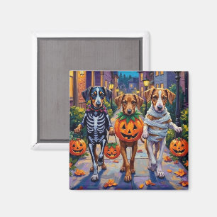 Silken Windhound Dogs in Halloween Costumes Magnet