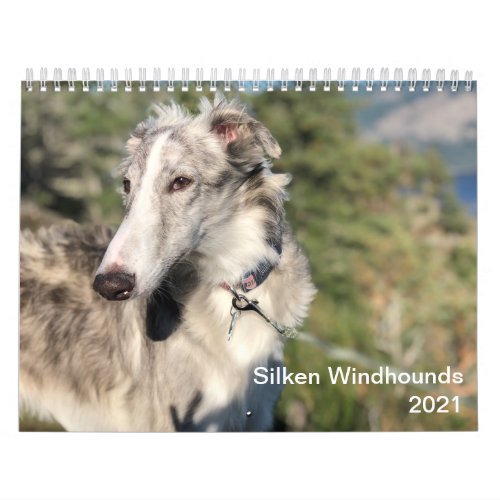 Silken Windhounds 2021 _ Head Shots Calendar