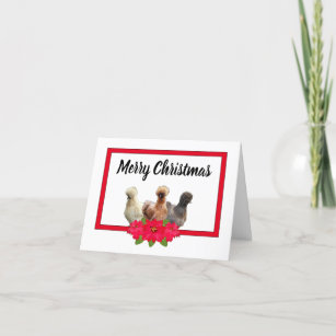 Silkie Bantam Chicken Christmas Poinsetta RedFrame Holiday Card