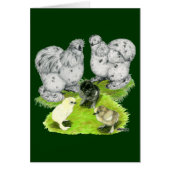 Silkie Bantam Splash Family (Front)