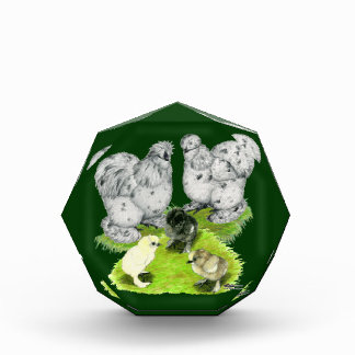 Silkie Bantam Splash Family Award