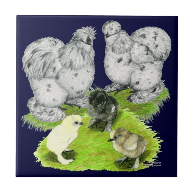 Silkie Bantam Splash Family Ceramic Tile (Front)